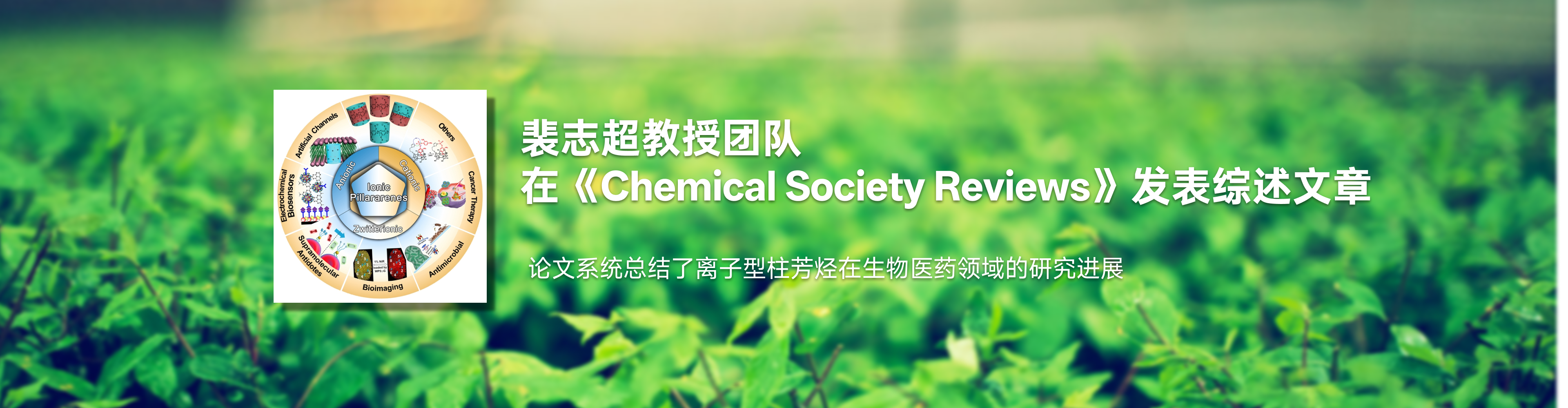六合论坛
裴志超教授团队在《Chemical Society Reviews》发表综述文章