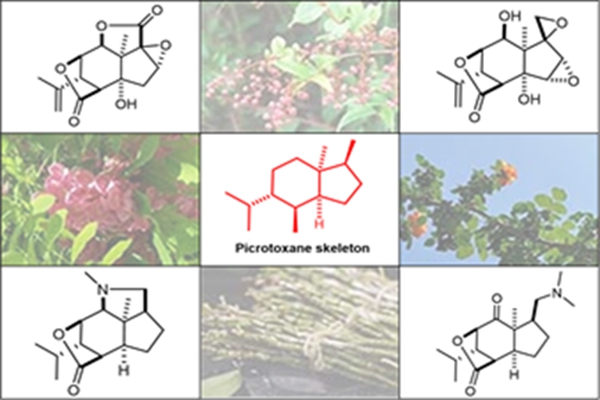 fb8d70153a9b48049e15ce5b47970fe7.jpg 图片2_副本.jpg