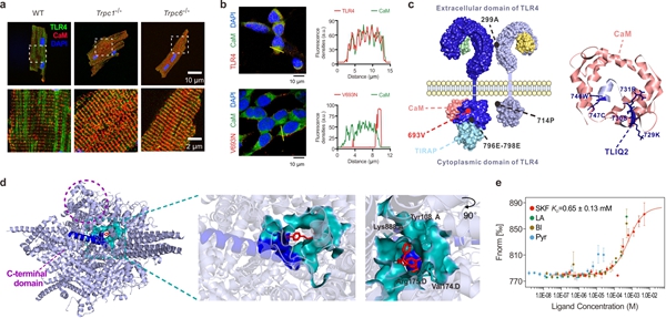 ab4736ddfe814207a547c04bdc947e97.jpg 新闻稿-1 _副本.jpg