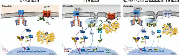 967b4af93352430ab6818df1bb6c0887.png 1_副本.png